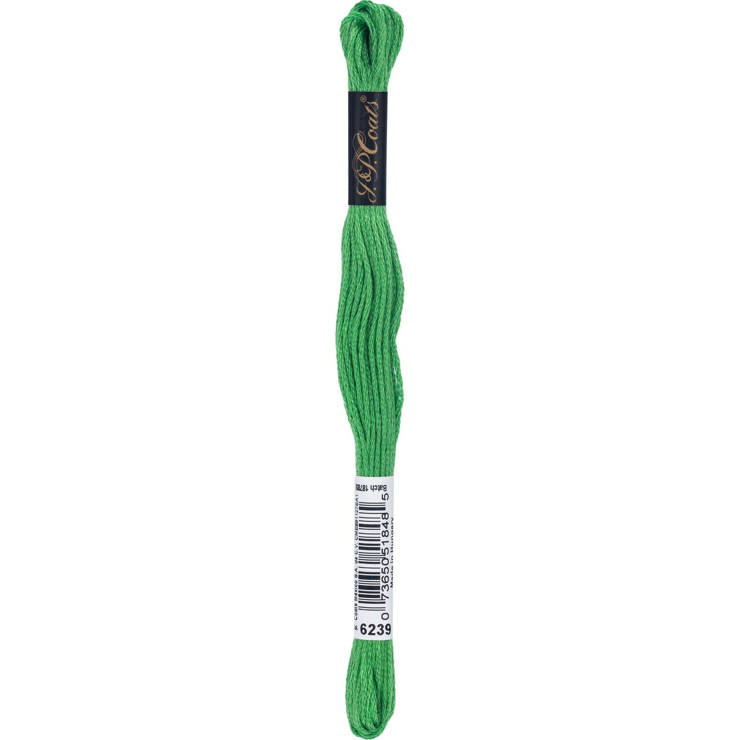 Coats & Clark Cotton Embroidery Floss