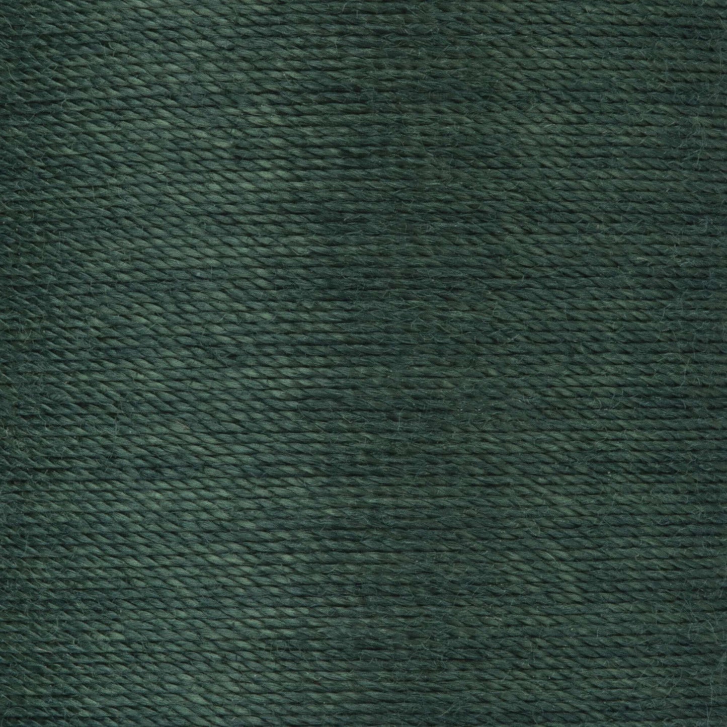 Coats & Clark Dual Duty XP Heavy Thread (125 Yards)