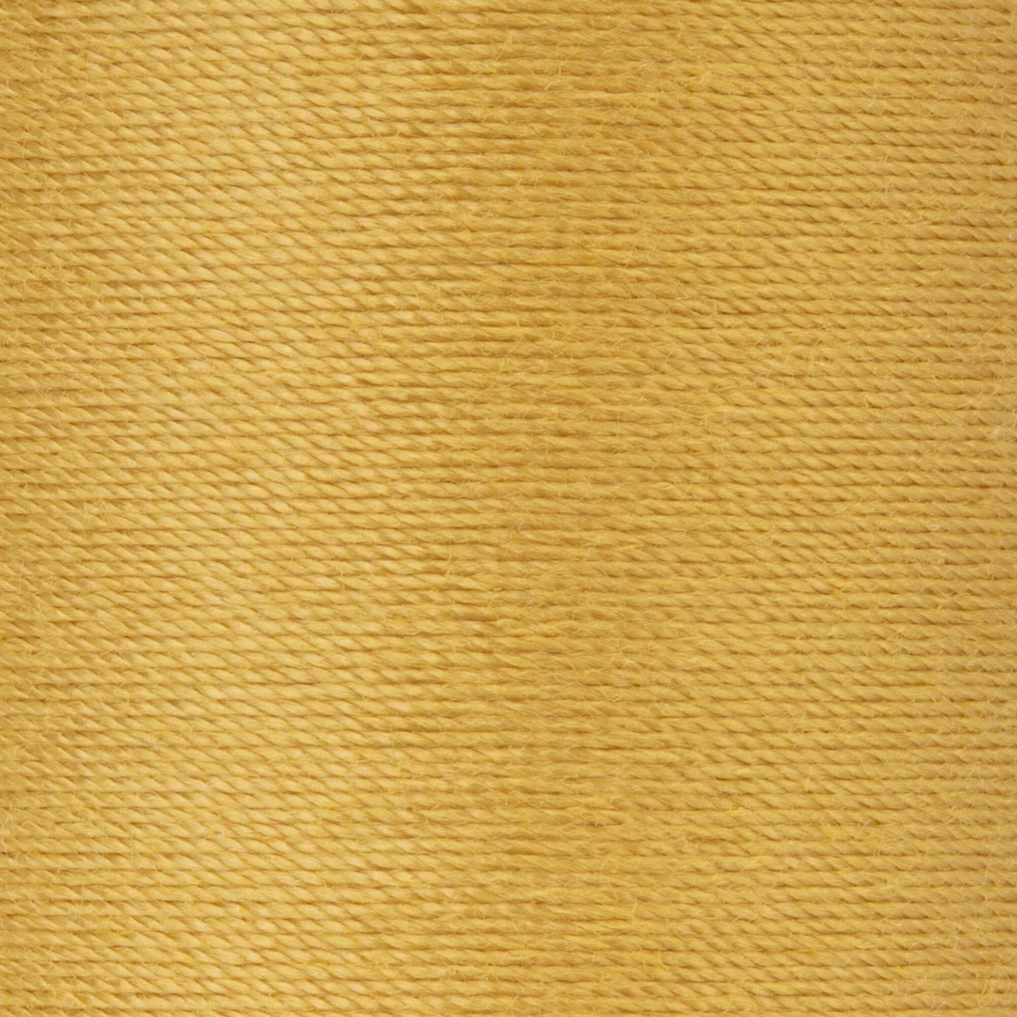 Coats & Clark Dual Duty XP Heavy Thread (125 Yards)