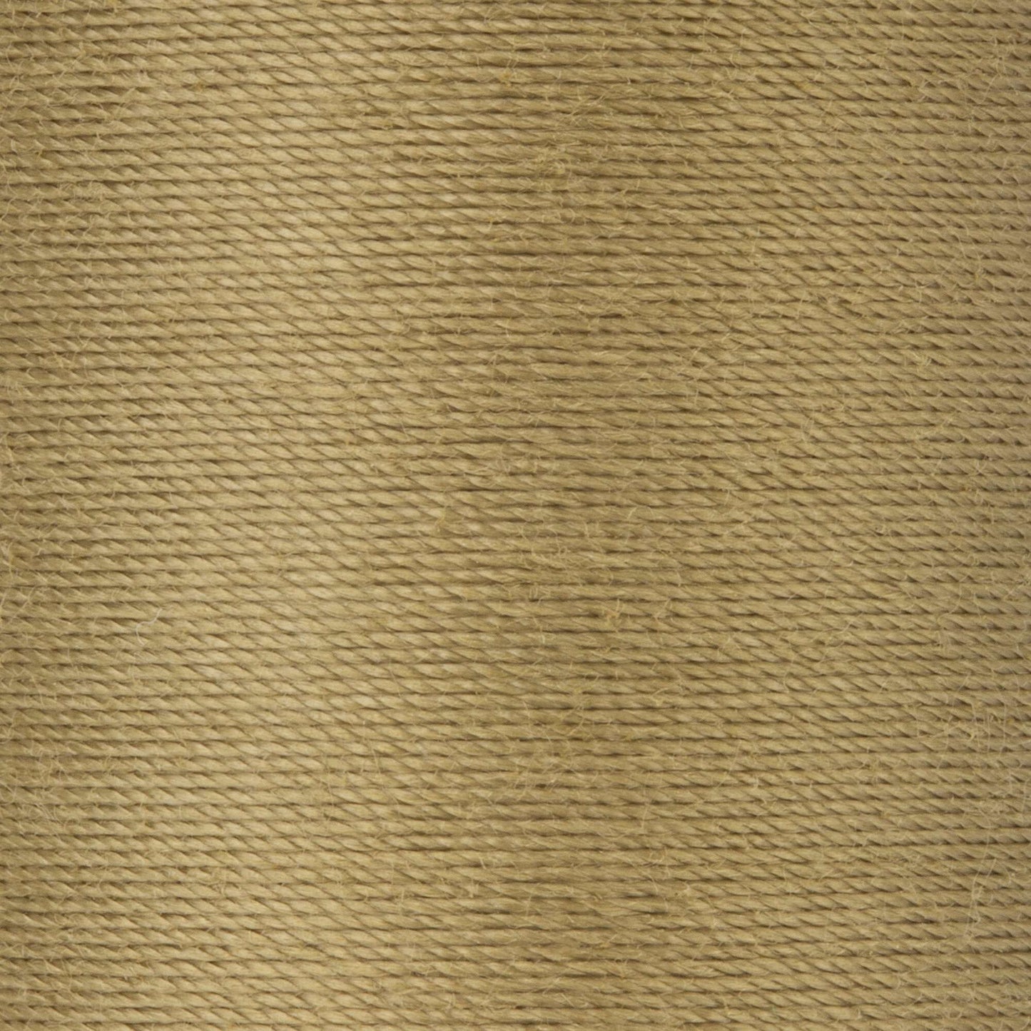 Coats & Clark Dual Duty XP Heavy Thread (125 Yards)